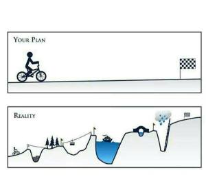 Your Plan - Reality